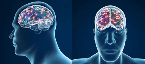Senior “Brain Upgrade”.